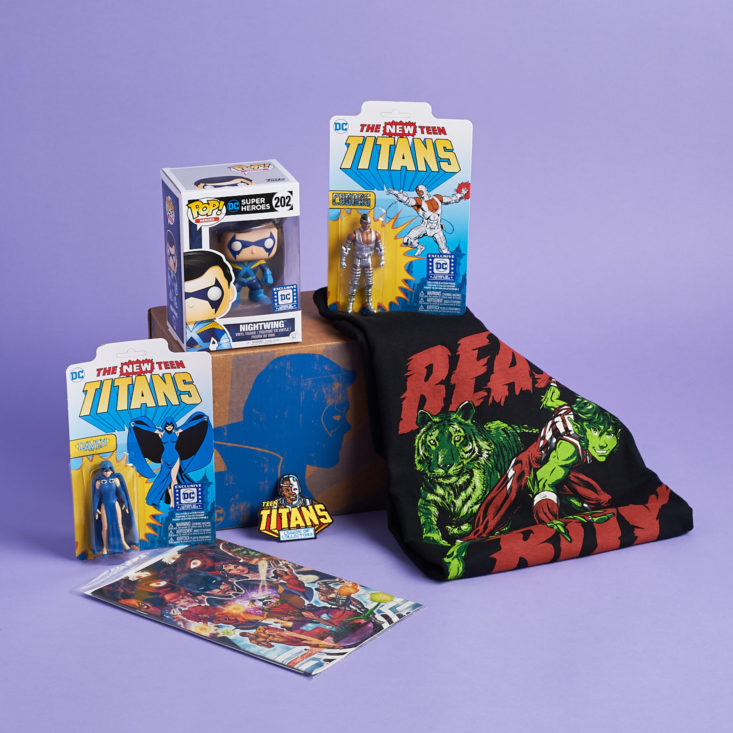 Funko Legion of Collectors Subscription Box - Teen Titans
